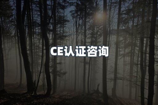 CE认证咨询